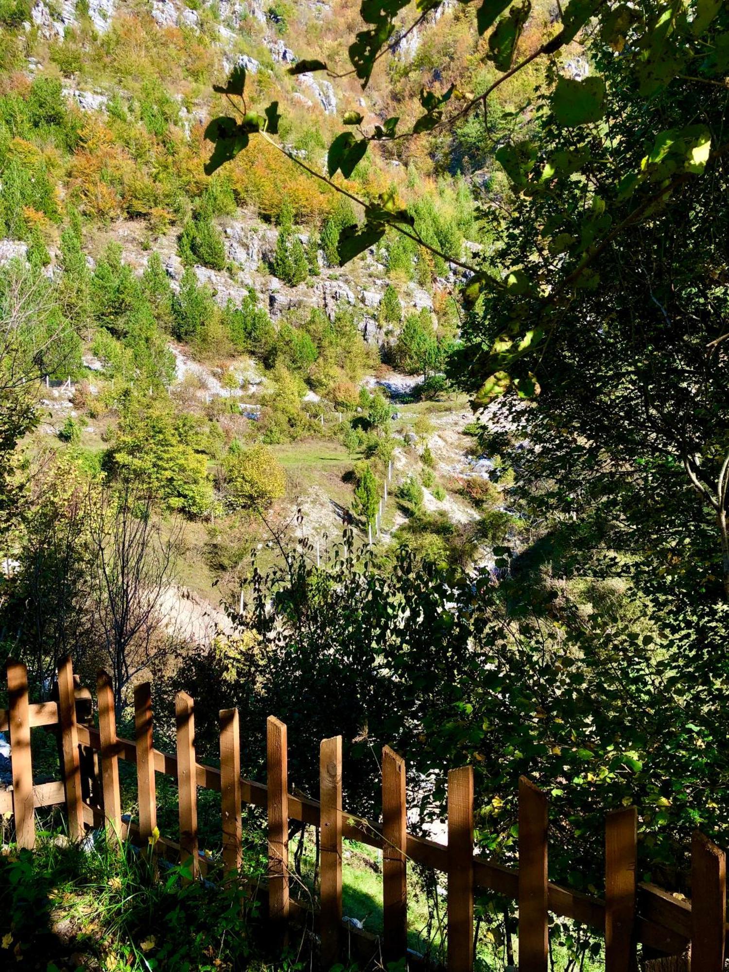 Bujtina Pllumi Theth Bed & Breakfast Exterior photo